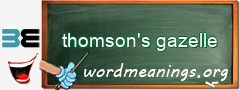WordMeaning blackboard for thomson's gazelle
